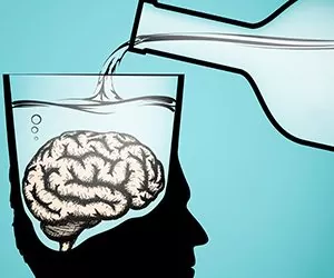 Як алкоголь руйнує ваш мозок