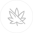 Главная