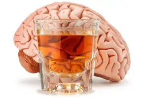 Як алкоголь руйнує ваш мозок