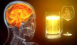 Как алкоголь разрушает ваш мозг
